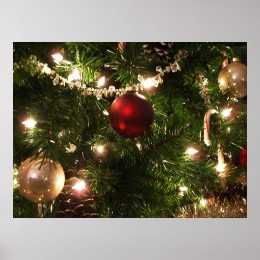 Kerstboom I Vakantie  groen en rood Poster (Voorkant)