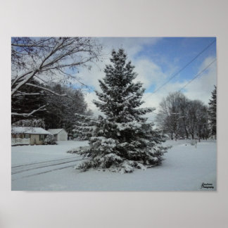 Kerstboom ongesneden poster