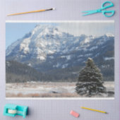 kerstboom tissuepapier (Craft)