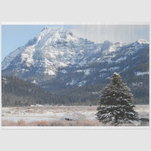 kerstboom tissuepapier (Voorkant)