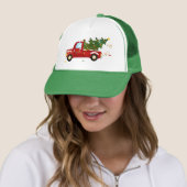 kerstboom trucker pet (In situ)