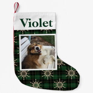 kerstboomschilfers, Kinder of gezelschapsdieren Fo Kleine Kerstsok