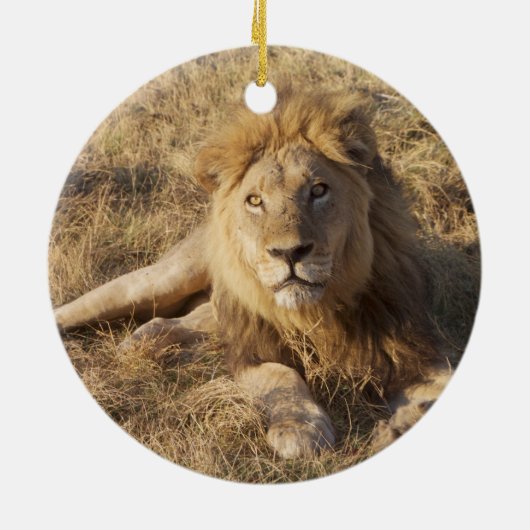Kerstboomversiering met lion keramisch ornament (Achterkant)