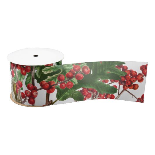 kerstbosbessen met feestbessen op de Evergreen Lint (Spoel)