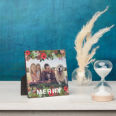 Kerstbotanische feestdag met feestdag fotoplaat (Insitu)