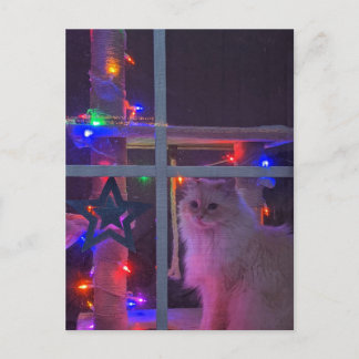 kerstBriefkaart Briefkaart