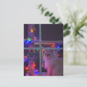 kerstBriefkaart Briefkaart (Staand voorkant)