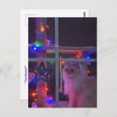 kerstBriefkaart Briefkaart (Voorkant / Achterkant)