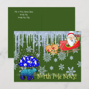 KerstBriefkaarten Beer Noordpoolkerstman Briefkaart