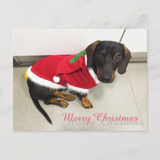 kerstbriefkaarten feestdagenkaart