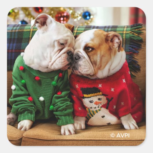 Kerstbulledogs in Sweaters Vierkante Sticker (Voorkant)