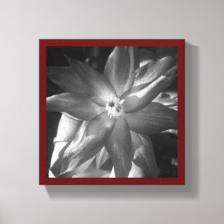 kerstcactus canvas afdruk