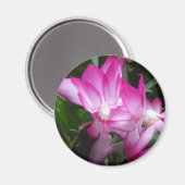kerstcactus Flowers Magnet Magneet (Voorkant / Achterkant)
