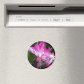 kerstcactus Flowers Magnet Magneet (Insitu (Vaatwasser))