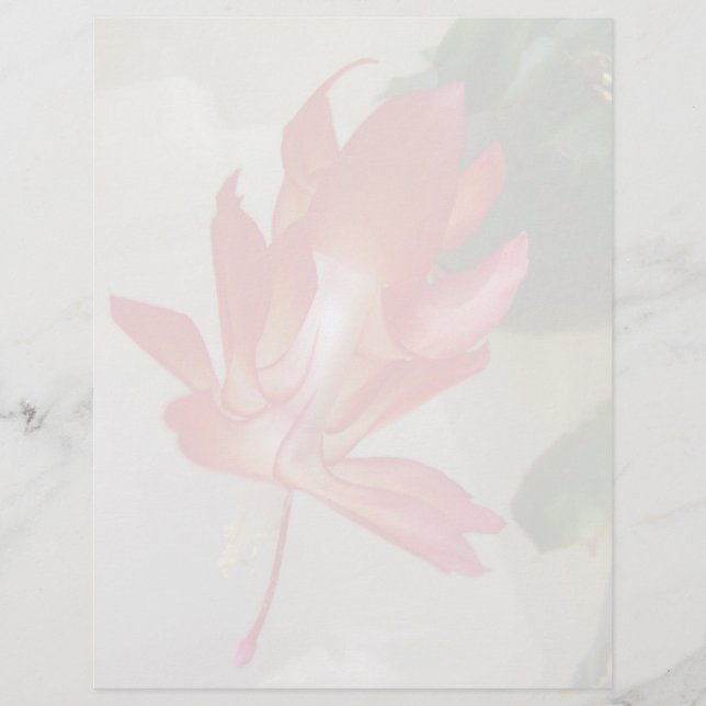 Kerstcactus Letterhead (Voorkant)