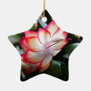 Kerstcactus "Samba Brazil" Keramisch Ornament