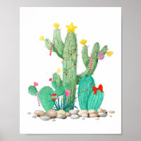 Kerstcactus Vakantie Zuidwest Westelijk