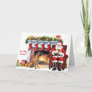 Kerstcadeau Boerboel Hond Kerstmis Feestdagen Kaart