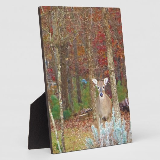 kerstcadeau fotoplaat (Zijkant)