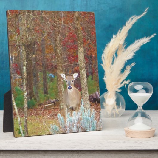 kerstcadeau fotoplaat (Zijkant)