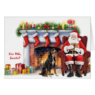 Kerstcadeau van de Kerstman voor de Grote Zwitsers