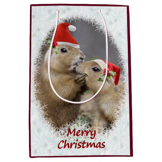 kerstcadeau voor gemiddeld cadeautje medium cadeauzakje (Voorkant)