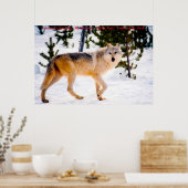 kerstcadeauleider van het pakket poster (Keuken)