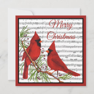 Kerstcardinalen Feestdagenkaart