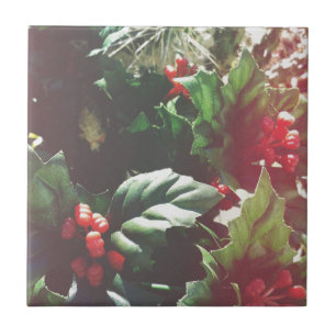 kerstcatctus tegeltje