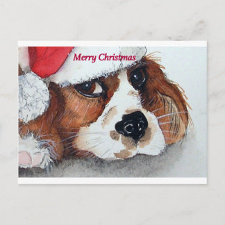 KerstCavalier King Charles Spaniel Feestdagenkaart