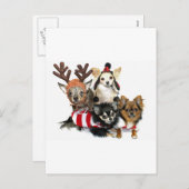 Kerstchihuahuas Feestdagenkaart (Voorkant / Achterkant)