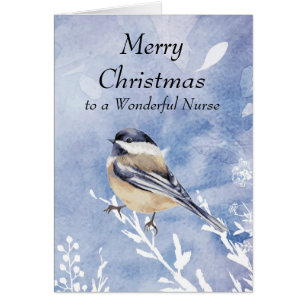 Kerstcichorei Bird Winter Nurse