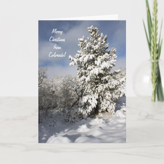 Kerstcolorado-kaart Feestdagen Kaart (Voorkant)