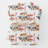 Kerstcorgi met rendiergewei inpakpapier vel (In situ)
