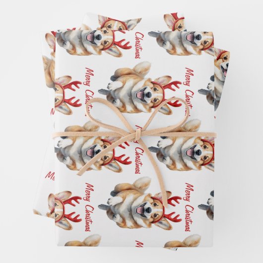 Kerstcorgi met rendiergewei inpakpapier vel (In situ)