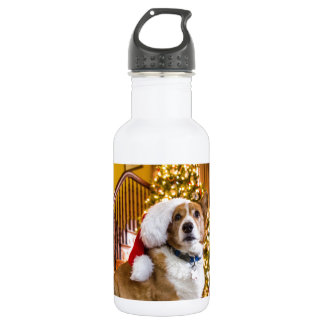 Kerstcorgi Waterfles