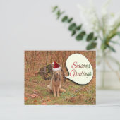 Kerstcoyote Feestdagenkaart (Staand voorkant)