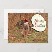 Kerstcoyote Feestdagenkaart (Voorkant / Achterkant)