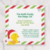 Kerstcruise Ducks Square Labels, Groen Bedankjes Labels (Achterkant)