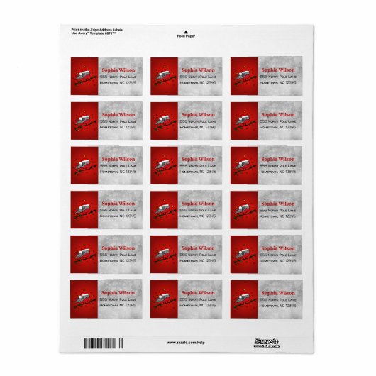 Kerstcute Red Robin Bird Etiket (Full Sheet)