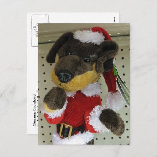 Kerstdachshund Feestdagenkaart (Voorkant / Achterkant)