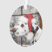 Kerstdalmatiaan Ornament (voorkant)