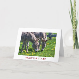 Kerstdier Donkey Feestdagen Kaart