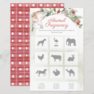 Kerstdieren Zwangerschap Jongen Baby shower