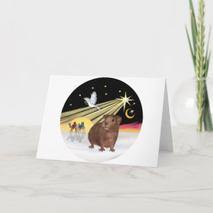 Kerstduif - Guinee Pig 3 Feestdagen Kaart