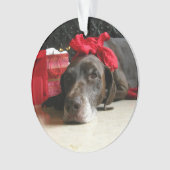 Kerstduitse stengelige aanwijzer ornament (voorkant)