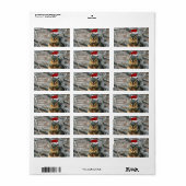 kersteekhoorn etiket (Full Sheet)