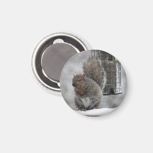 kersteekhoorn magneet (Voorkant / Achterkant)