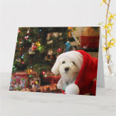 Kerstelijke Cute Poodle Kaart (Gele Bloem)