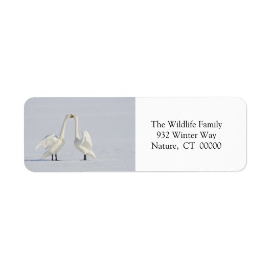 Kerstenveloppen Zelfhechtende stickers (Voorkant)